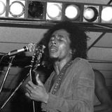 Bob Marley andthe Wailers Live, Chicago, IL June 10, 1975