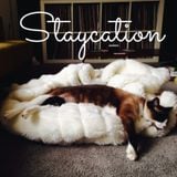 Staycation