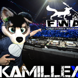 FWA Mix 2016
