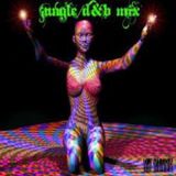 Jungle D&B Set.