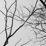 DreiViertelTraum-I like OSTGUT TON...2o13