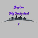 My Funky Soul 7