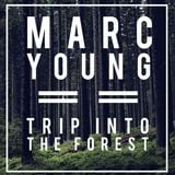 Trip Into The Forest - Marc Young