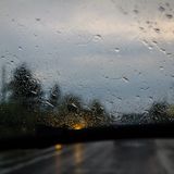 Alexandru Sima - Rainy roads lead to sunny places