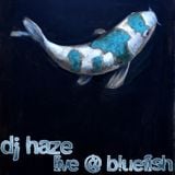 Live @ Bluefish 26-04-13