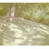 Space_time_rhythm
