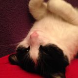 @ Home - Insomnie