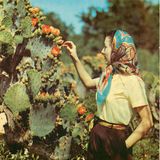 Mange Des Tomates, Ma Petite Zwzi