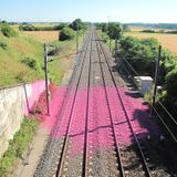In Search of a Pink Train in a Unbearable Atmosphere VOL.2 (Mixed By CinimoD)