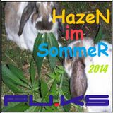 FU.KS - HazeN im SommeR '14 (Summer-Electro-MiX)