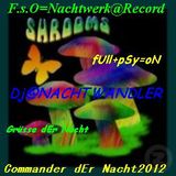 Dj-Nachtwandler-Commander der Nacht. Nachtwerk Rec. 2012
