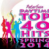 Daytime Top 40 Hits Spring 2014 by PeterSun