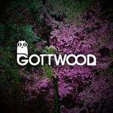 Herukajon @ Gottwood Festival 2015