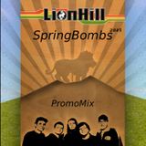 SPRINGBOMBS 2011