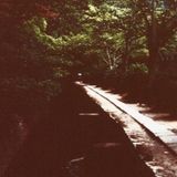 Leaf Trip Mix