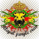 Ragga-Jungle Mix 9.5.2012