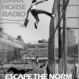 Dark Horse Radio Podcast 002 Jan 14