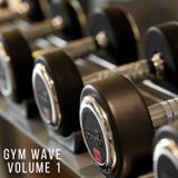 Gym Wave Volume 1 - Garage / House / Baseline & Grime