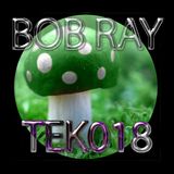 TEK 018