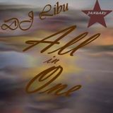 DJ Libu - All in one (January 2016)