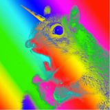 Squeerels & Unicorns