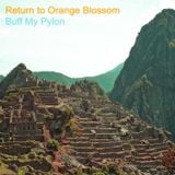 Return to Orange Blossom