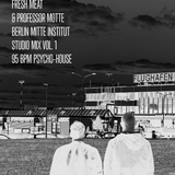 Fresh Meat & Professor Motte - Berlin Mitte Institut Studio Mix Vol.1 - 95 BPM Psycho House