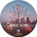 Walk Soul | Episode N°1