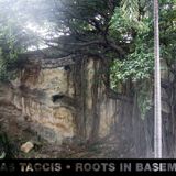 Roots in Basement