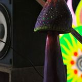 eS - Psysummer_Chill Stage 24-08-2014