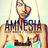 T-Dj Milana - Amnesia (mix 2015)