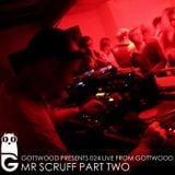 Gottwood Presents 024 - Mr Scruff Live From Gottwood Pt2