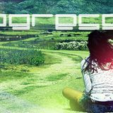 DDV - Progressive House mix Volume 1