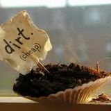 clASSic dirt...