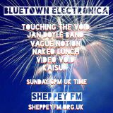 Bluetown Electronica live show 08.03.15