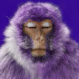 Purple Monkey (Special Merkaba Tribute mix) by Holomood