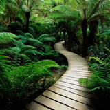 The Path is the Goal
