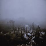 Fall 2013 Mix