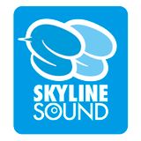 Dancehall Classic SKYLINE SOUND Mix Mixed By YG
