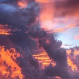 MELT