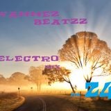Wammez Beatzz Electro mix Volume 24