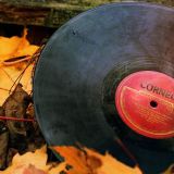 Autumn 2015
