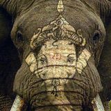 Dark Prog Mix 1_31_14