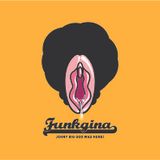 F.U.N.K.G.I.N.A -mix