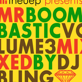 Mr Boombastic V3 (2010)