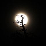 JB's Full Moon Special 12th June 2014