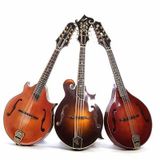 Just Another Cover Lover 1/30/15 "The Bluegrass Show"