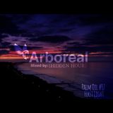 Arboreal Presents: Palm Oil #17 - First Light