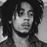 Bob Marley & The Wailers: 24 tracks