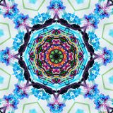 COLORED DREAM
